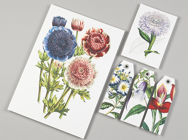 Artists' Papercraft Book, Flowers