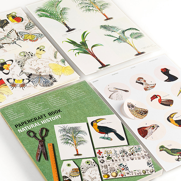 Artists' Papercraft Book, Natural History